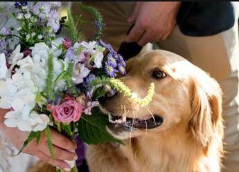 Romasposa, per le nozze sempre più richiesti sostenibilità personalizzazione e dettagli botanici per ritorno alla natura