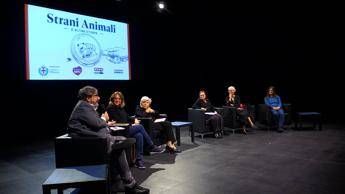 ‘Strani animali e altre storie’, 20 racconti nati dai disegni dei bambini